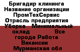 Бригадир клининга › Название организации ­ ПромТехСервис › Отрасль предприятия ­ Уборка › Минимальный оклад ­ 30 000 - Все города Работа » Вакансии   . Мурманская обл.,Видяево нп